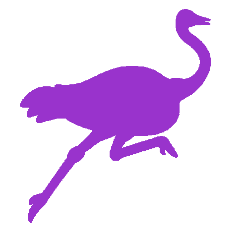 Running ostrich while relay scan loads